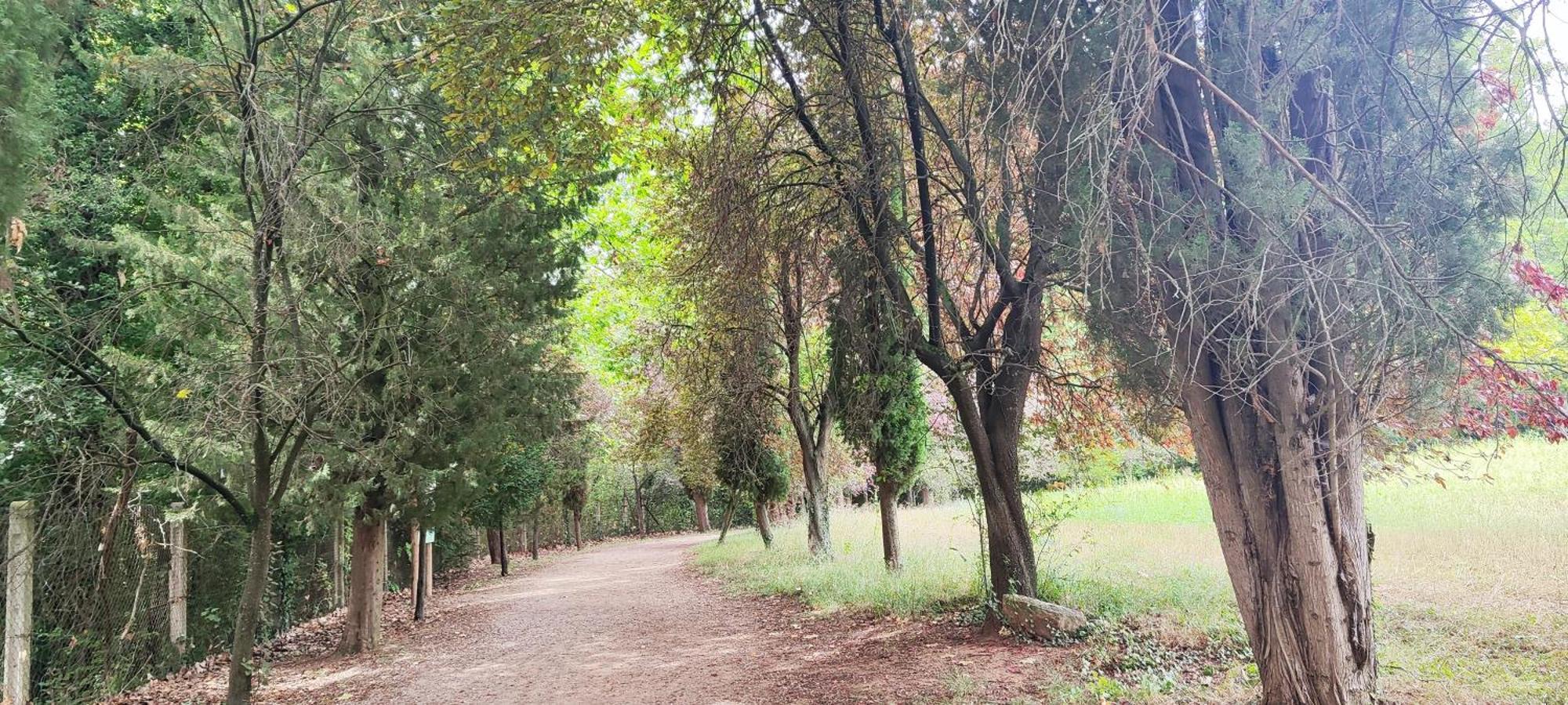 Piso Rural Sol Bergueda Lejlighed Aviá Eksteriør billede